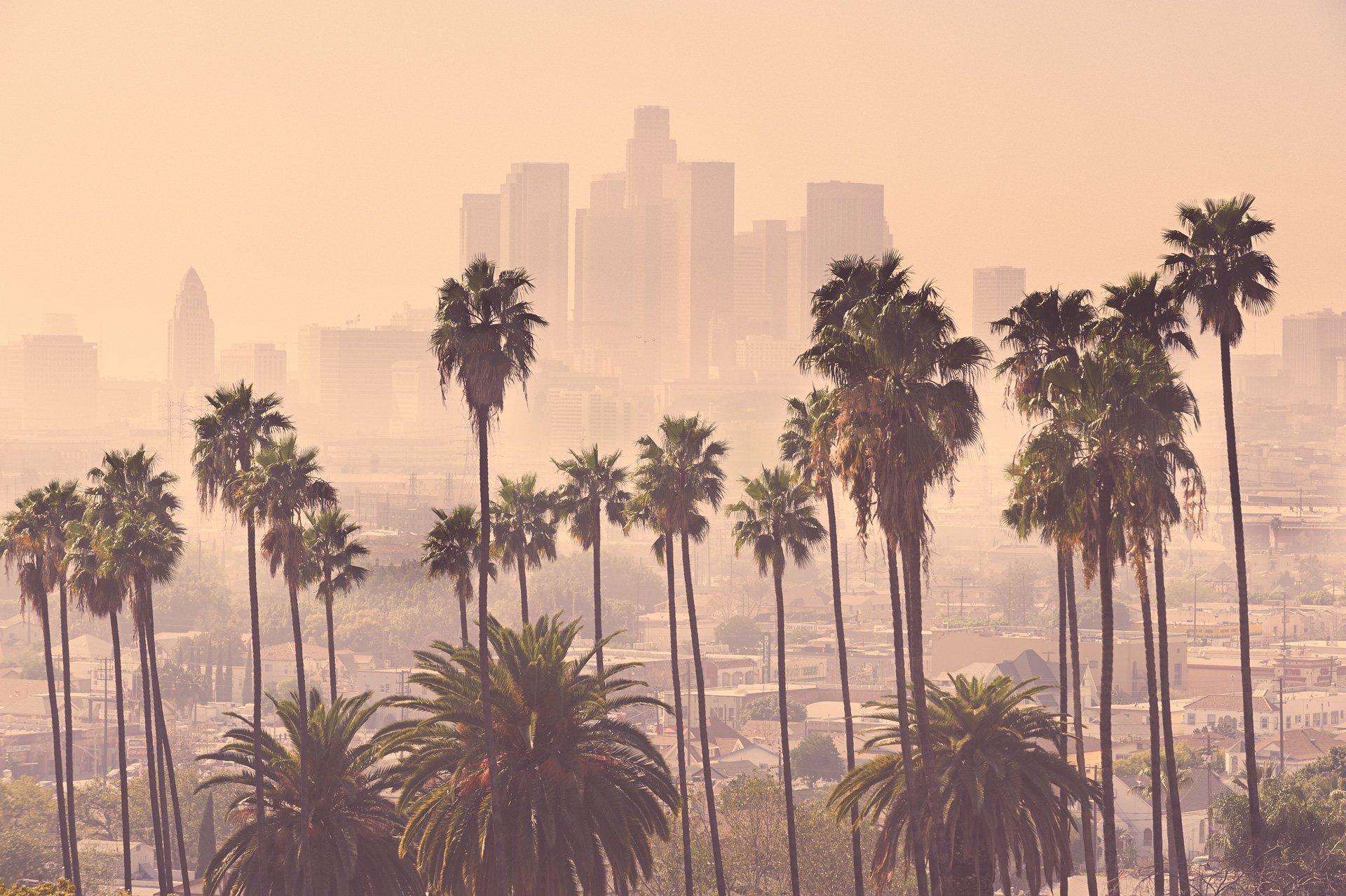 Los Angeles Personal Injury Attorney
