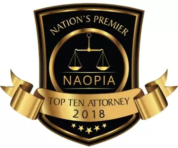 NAOPIA Top Ten Attorney 2018