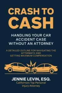 Crash to Cash Book Cover